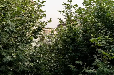 a row of trees with a building in the background at Frinichou 18 by Athens Concept Residences in Athens