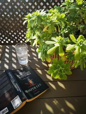 a book sitting on a table next to a plant at House in riviera lagonisi in Kalívia Thorikoú