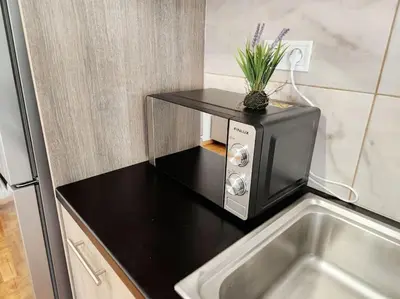 a microwave sitting on a counter next to a sink at Attiki Rooftop Apartment VIPGreece in Athens