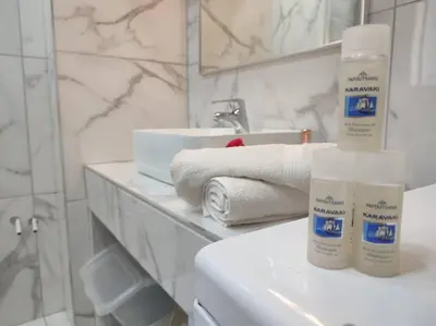a bathroom with two bottles of moisturizers on a sink at Apartment in the Center of Athens in Athens