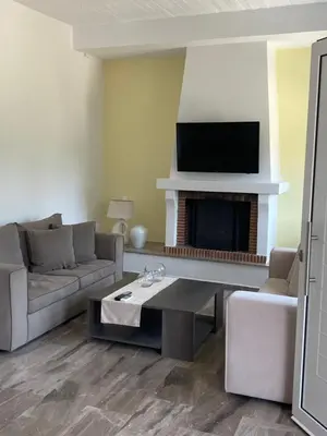 a living room with a couch and a fireplace at Euphoria Estate in Agia Marina Aegina