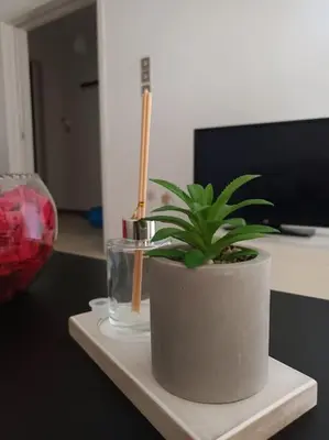 a potted plant sitting on top of a counter at VOULIAGMENI RIVIERA center between Beach and Lake in Athens