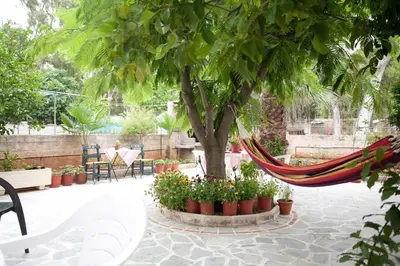 a hammock hanging from a tree in a garden at Veggie Garden Athens B&B in Athens