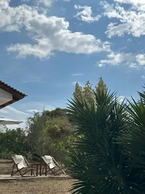 two white chairs and a table and a palm tree at Coast Cottage Porto Rafti-Avlaki by BRP-Properties in Porto Rafti