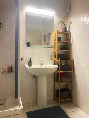 a bathroom with a sink and a mirror and a shower at Garden Apartment with BBQ in the Athenian Riviera in Athens