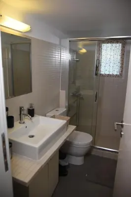 a bathroom with a sink and a toilet and a shower at Velvet new apt in Ilissia in Athens
