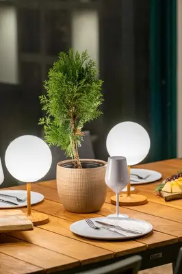 a table with three chairs and a potted plant on it at Casa Del G in Metókhi