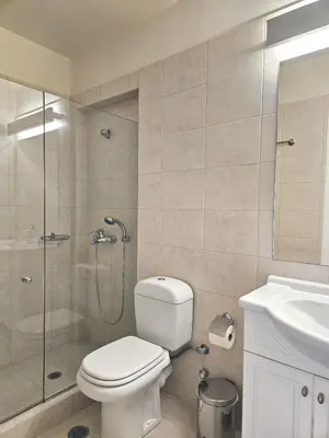a bathroom with a shower and a toilet and a sink at Lagonisi Beach House in Lagonissi