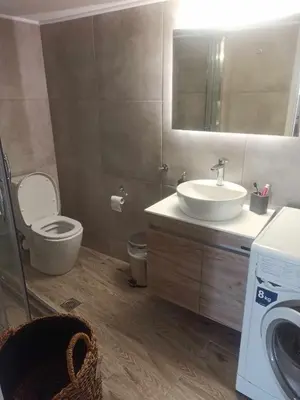 a bathroom with a toilet and a sink and a washing machine at Sea Front Sophia Porto Rafti in Porto Rafti