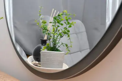 a plant in a pot on a shelf in a mirror at Διαμέρισμα δίπλα από την θάλασσα in Athens