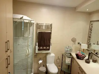 a bathroom with a toilet and a shower and a sink at Annitas luxury oasis appartment in Athens