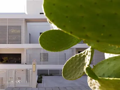 a close up of a cactus in front of a building at Sunshine Suite by Athens Riviera Suites in Saronida