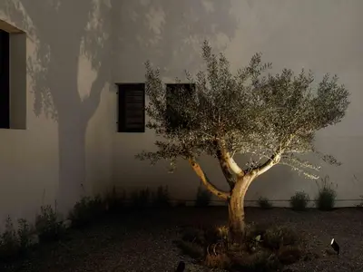 a tree in front of a building with its shadow at Sunshine Suite by Athens Riviera Suites in Saronida
