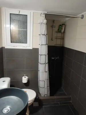 a bathroom with a shower with a sink and a toilet at Cozy Apartment Downtown in Athens