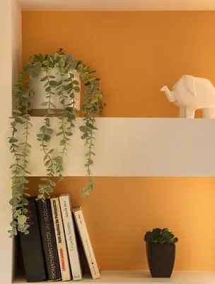 a shelf with books and a potted plant on it at Stefano's Villa Lagonissi in Lagonissi