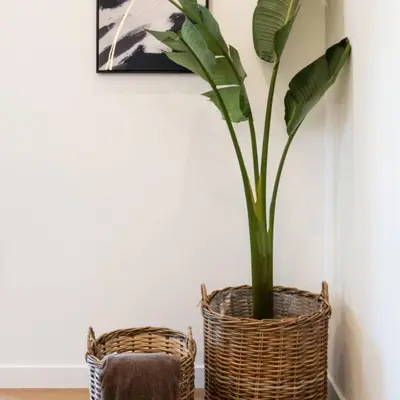a plant in a basket next to a wall at 2-BD Luxury Apt Sea View Balcony near the beach in Athens