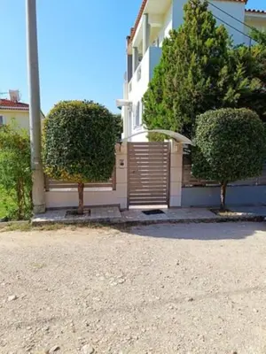 a house with a wooden gate and two bushes at Porto Rafti Hideaway in Porto Rafti