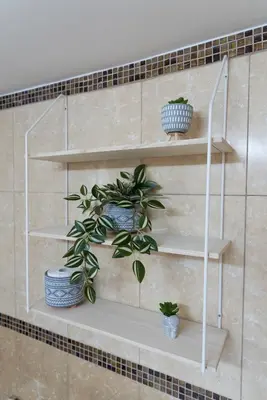 a white shelf with plants on a wall at Ruby’s House in Athens