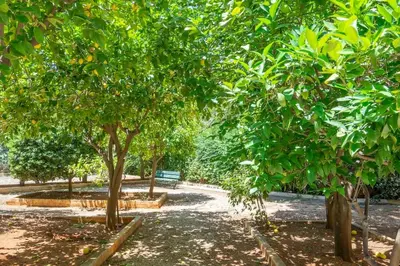 a park with trees and a bench in the middle at Voula's Secret Garden Studio in Athens
