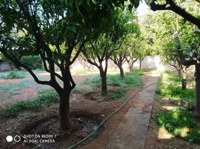 a hose snakes through a garden with trees at Quiet Family apartment with Garden and Balconies in Athens