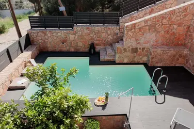 an overhead view of a swimming pool with a dog in it at Villa GEM in Porto Rafti
