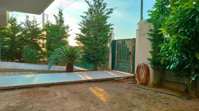 a gate to a house with a palm tree at Spata sunrise house in Spáta