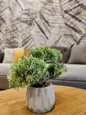 a white vase sitting on a table with a plant at Elpis' cozy & luxury apartment in Athens