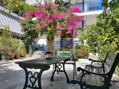 a table and two benches and a tree with pink flowers at Sunrise Flora in Agia Marina Aegina