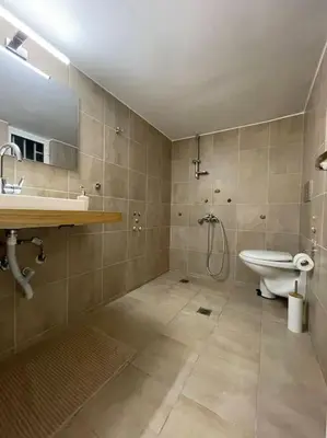 a bathroom with a shower and a sink and a toilet at DM Apartment 1 in Athens