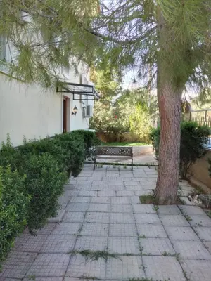 a park bench sitting next to a tree at Peaceful oasis in Athens