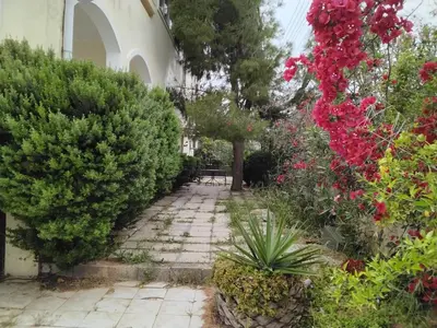 a garden with flowers and plants on a path at Peaceful oasis in Athens