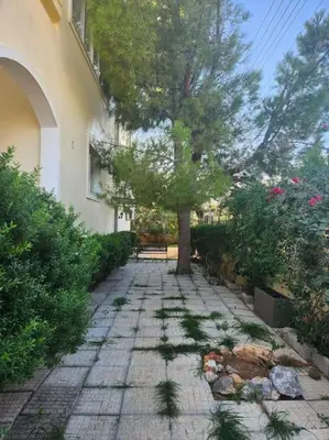 a tree on a stone path in front of a building at Peaceful oasis in Athens