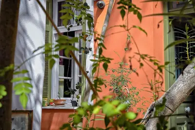 an orange building with a window and plants in front of it at Athens Quinta in Athens