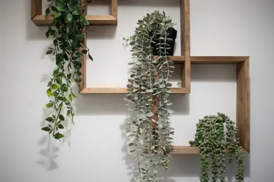 a wall with two wooden shelves with plants at Theia 1-Bedroom Apartment in Athens in Athens