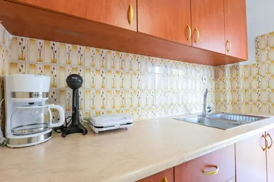 a kitchen counter with a sink and a coffee maker at Thanasis Family Apartment in Athens