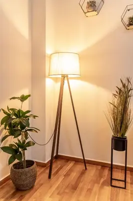 a lamp in a room with two potted plants at Sympatico Central Apartment in Athens in Athens