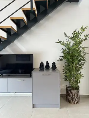 a living room with a cabinet and a potted plant at Athenean Modern Escape near Marina Flisvos in Athens