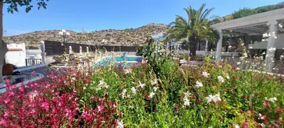 a garden with flowers in front of a pool at Villa Mare Nostrum Sounio in Sounio