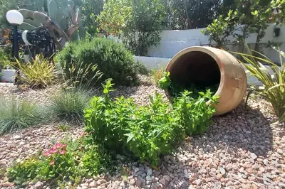 a garden with a hole in the ground with plants at Villa Mare Nostrum Sounio in Sounio