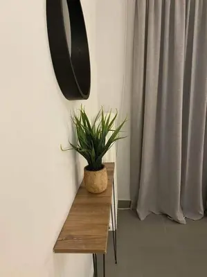 a plant sitting on a wooden table next to a mirror at D & A house 150m from Chalandri metro station in Athens