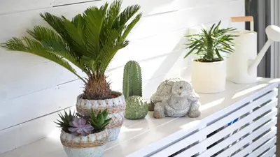 a shelf with potted plants and a teddy bear at Piraeus Urban Gem in Piraeus