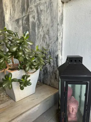 a black lantern sitting on a shelf next to a plant at Apollo Apartment Athens/Airport in Spáta