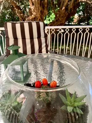 a glass table with strawberries on top of it at Gina's cozy home in Athens