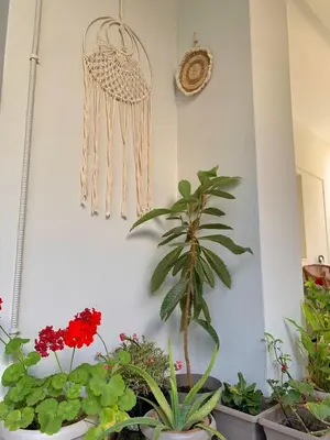 a room with potted plants and a wall with dream chains at Gina's cozy home in Athens