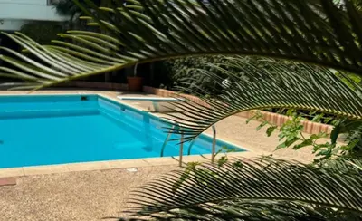 a blue swimming pool with a palm tree next to it at 2-BDR SV Elegance Luxury Apt with Shared pool in Athens