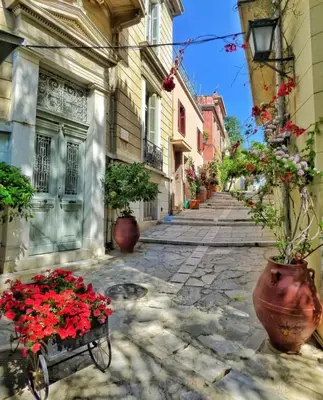 an alley with red flowers in a cart at Syntagma studio in Athens