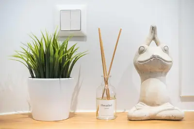 a statue of a frog sitting on a table next to a plant at Newly Renovated Escape/Psychiko in Athens