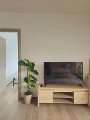 a living room with a television and a potted plant at Cozy & Minimal Apartment Near Airport Peania in Paianía