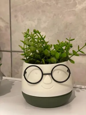 a potted plant with glasses sitting on a table at Aiolos apartment alimos centre 4 near the sea in Athens