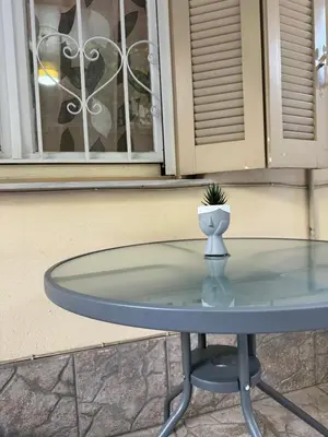 a glass table with a potted plant on top of it at Cozy home in Nea Smirni in Athens